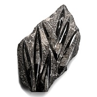 Fossil Orthoceras Plaque