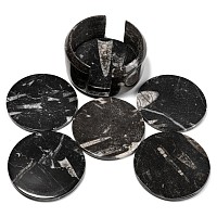 Fossil Orthoceras Polished Coaster Set