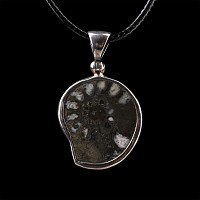 Fossil Ammonite Pendant Necklace