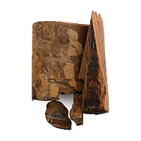 Egyptian Painted Wooden Sarcophagus and Cartonnage Fragments