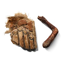 Egyptian Cartonnage Hand Fragment and Wooden Model Arm