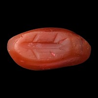 Sasanian Carnelian Stamp Seal with Fish
