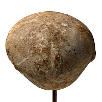 Anatolian 'Stargazer' Idol Head
