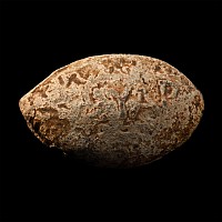 Greek Lead Slingshot inscribed EYAP//MANHC