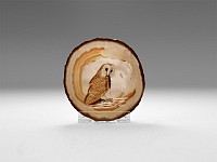 Natural History - David Fish 'Barn Owl' on Polished Agate