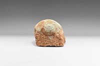 Natural History - Large Hadrosaur Dinosaur Egg