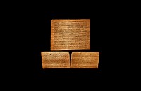 Roman Testament of Julius Fiddin