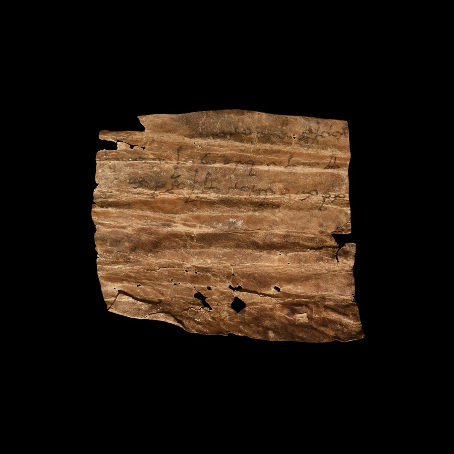 Bactrian Manuscript of an Order to Meyam's Servant