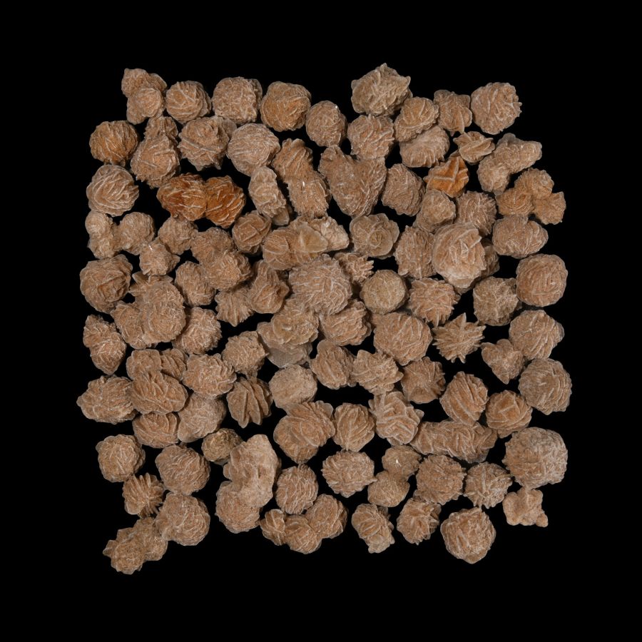 100 Gypsum Desert Rose Specimens