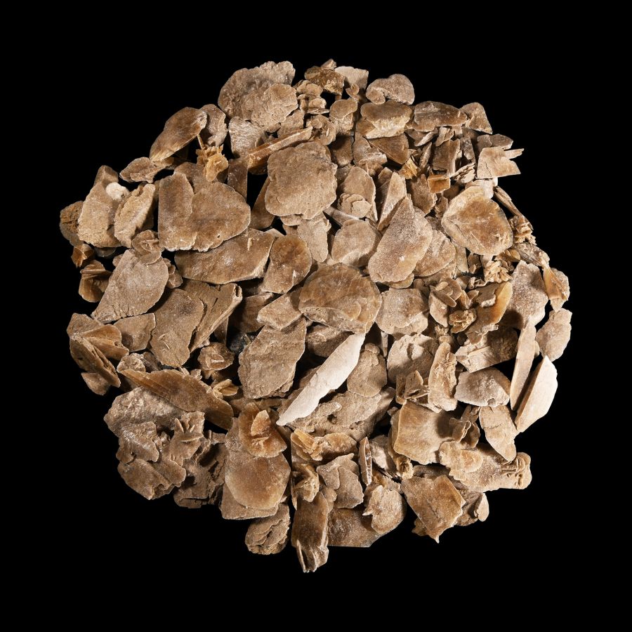 Natural History - Gypsum Mineral Blade Group
