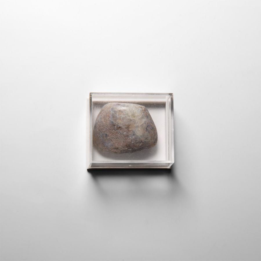 Natural History - Bivalve Shell Preserved in Opal