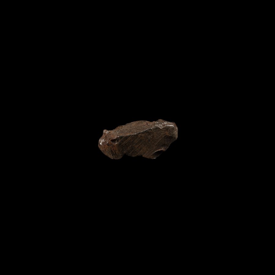 Natural History - Sikhote-Alin Meteorite