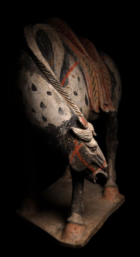 Large Chinese Tang Dapple Grey Horse with Lowered Head
