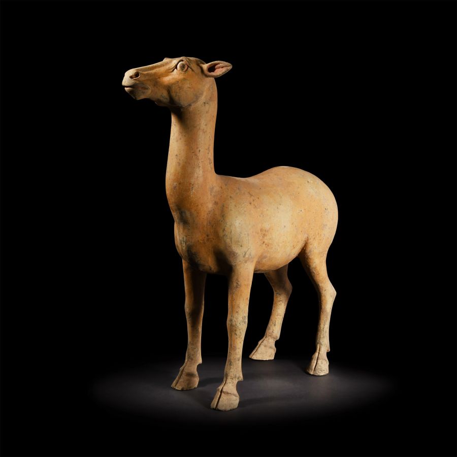 Large Chinese Tang Figure of a Fawn