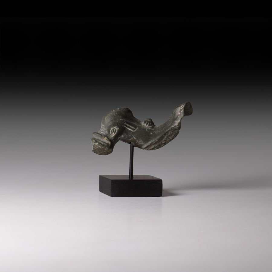 Roman Schist Dolphin