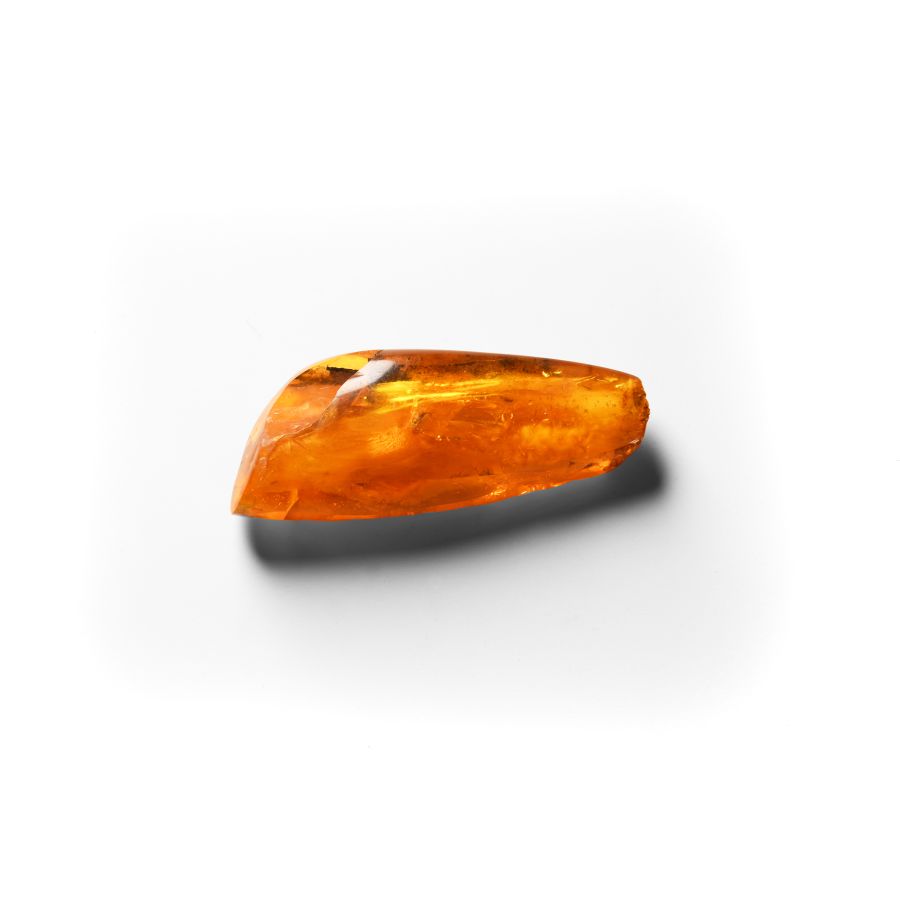 Natural History - Polished Amber with Insect