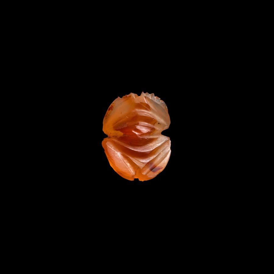 Egyptian Carnelian Scarab