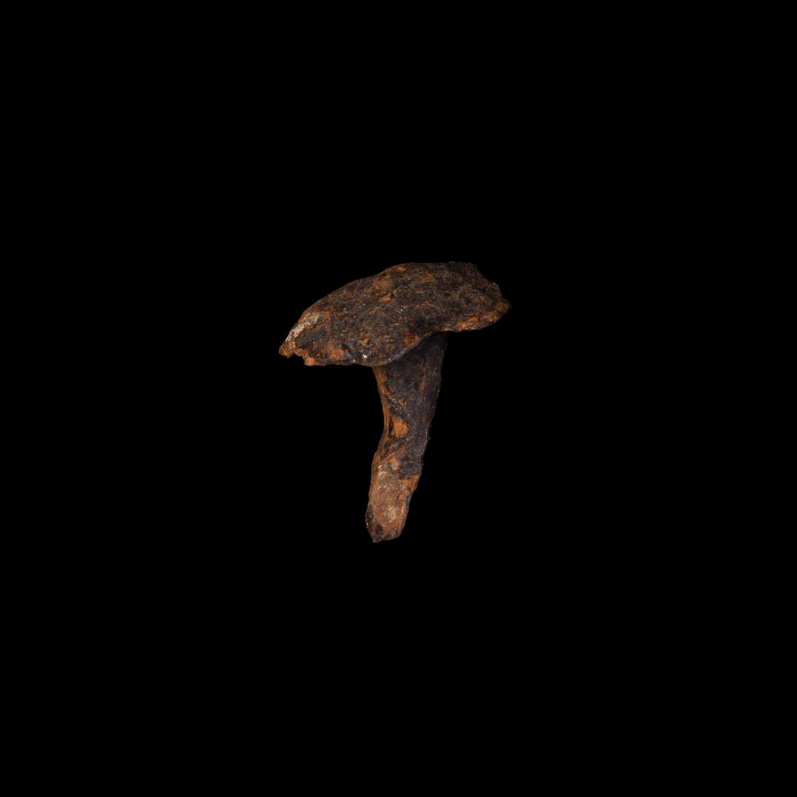 Anglo-Saxon Iron Ship Rivet