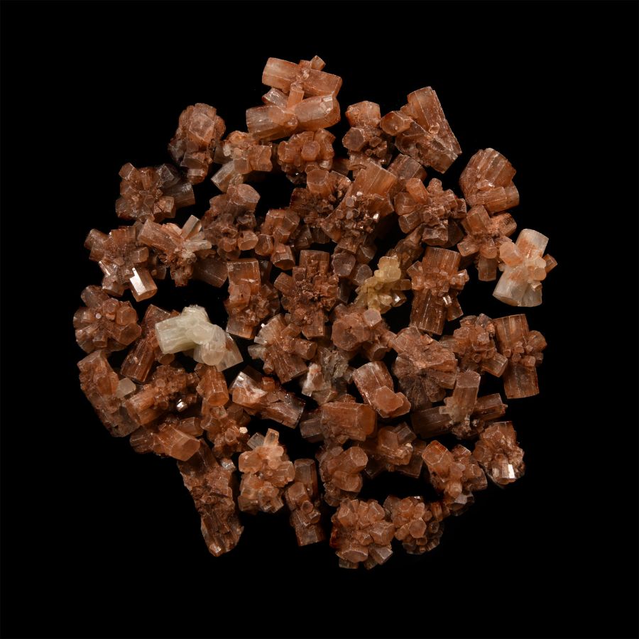Natural History - Aragonite  'Sputnik' Cluster Crystal Group