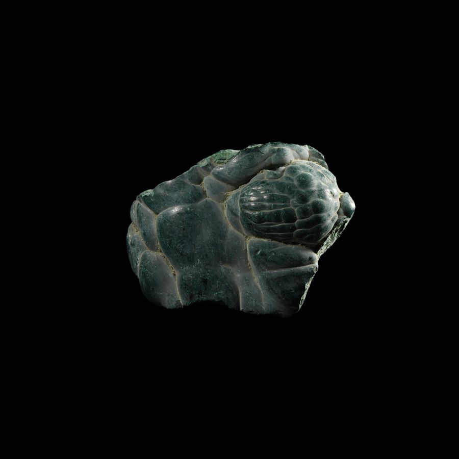 Natural History - Unpolished Natural Malachite Section