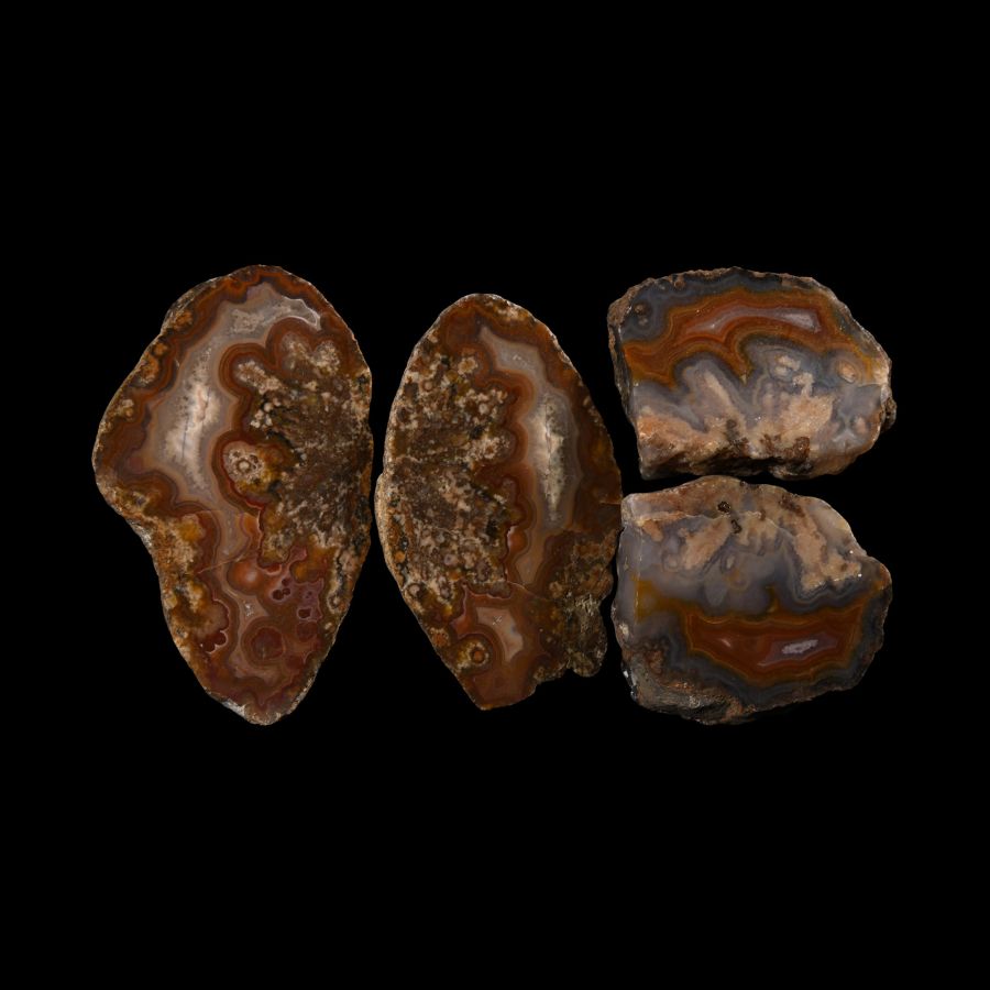 Natural History - Cut and Polished Agate Crystal Geode Section Group