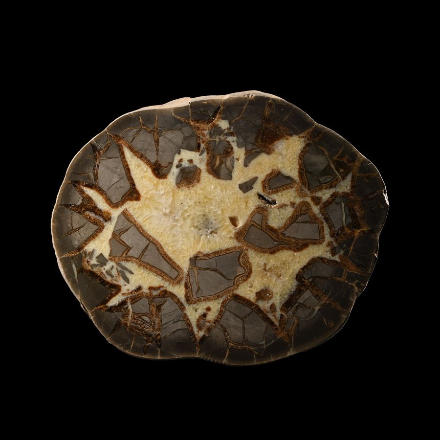 Natural History - Very Large Septarian Cut and Polished 'Alien Egg' Geode Half