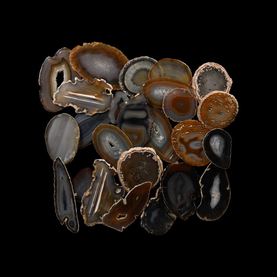 Natural History - Cut and Polished Agate Crystal Geode Slice Group