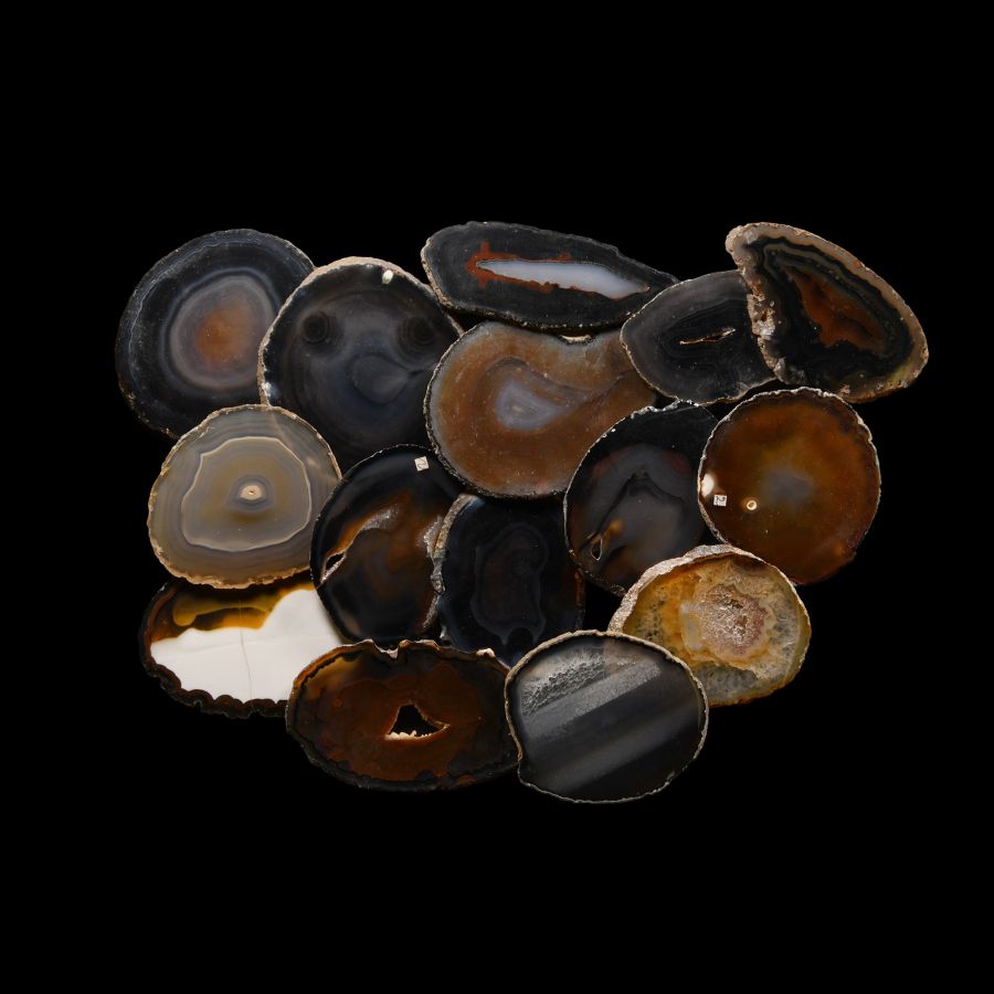 Natural History - Cut and Polished Agate Crystal Geode Slice Group