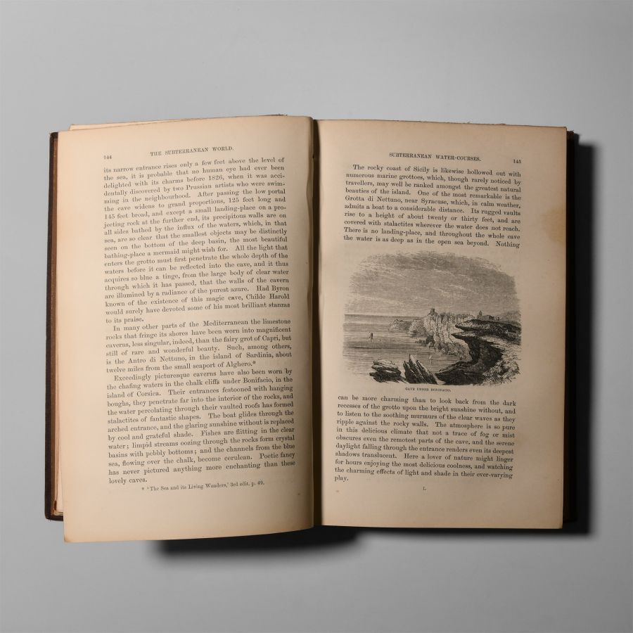Natural History Books - Hartwig - The Subterranean World