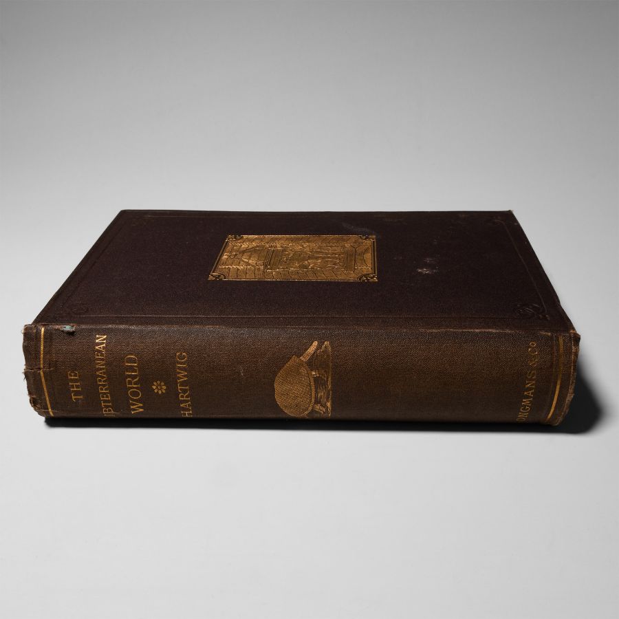 Natural History Books - Hartwig - The Subterranean World