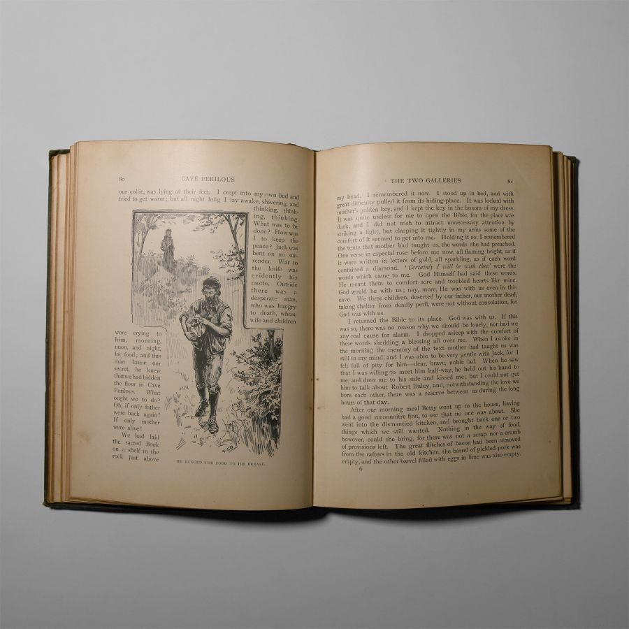 Natural History Books - Meade - Cave Perilous
