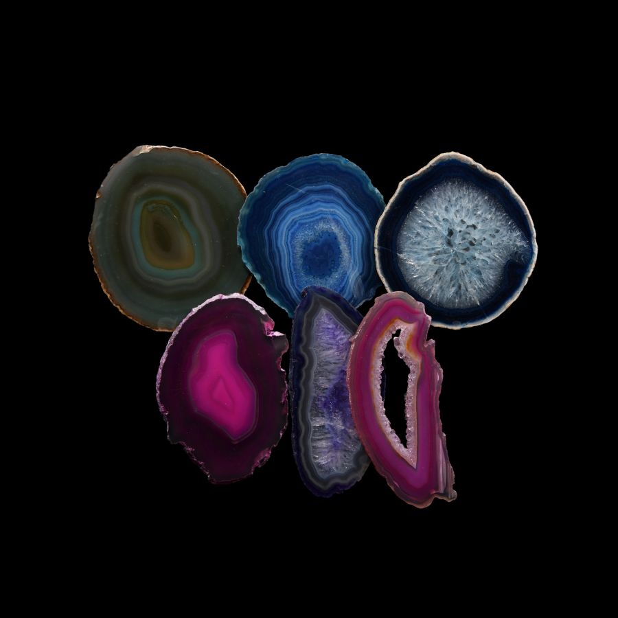 Natural History - Cut and Polished Agate Crystal Geode Slice Group