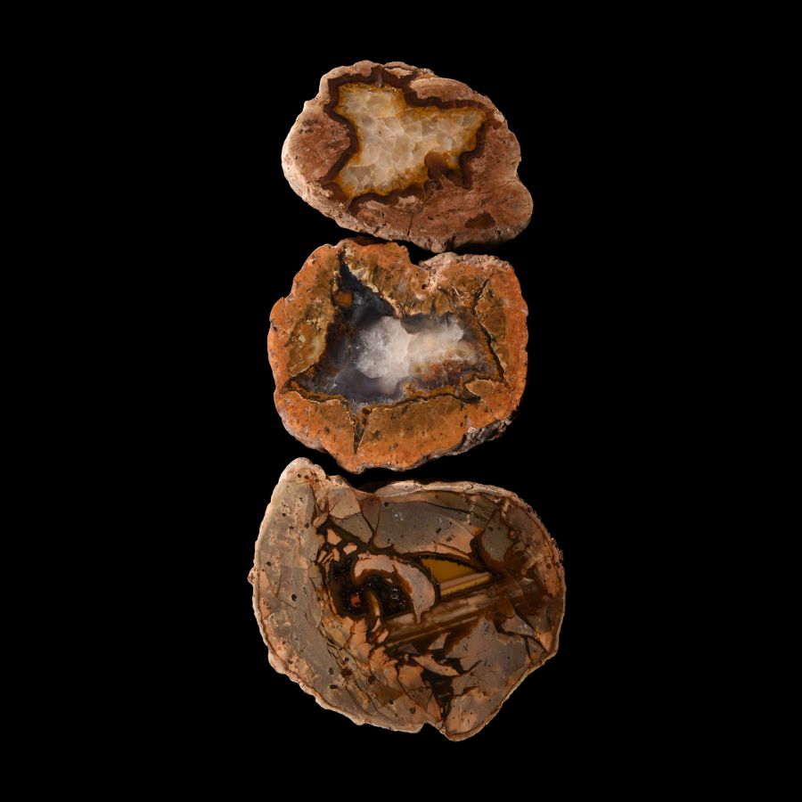 Natural History - Australian Agate Creek Cut and Polished 'Thunder Egg' Half Group
