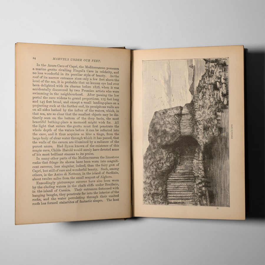 Natural History Books - Hartwig - Marvels Under Our Feet