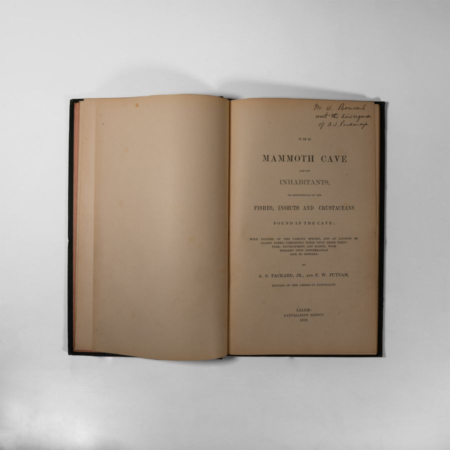 Natural History Books - Packard / Putnam - Mammoth Cave and Its Inhabitants