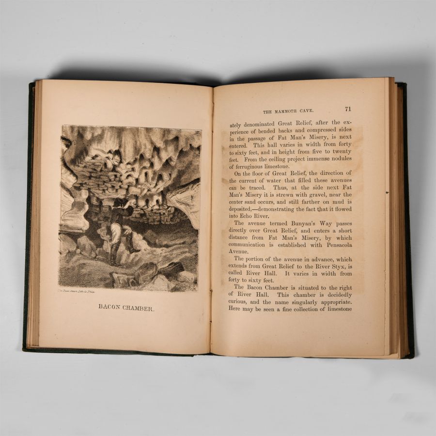 Natural History Books - Forwood - Historical and Descriptive Narrative of the Mammoth Cave