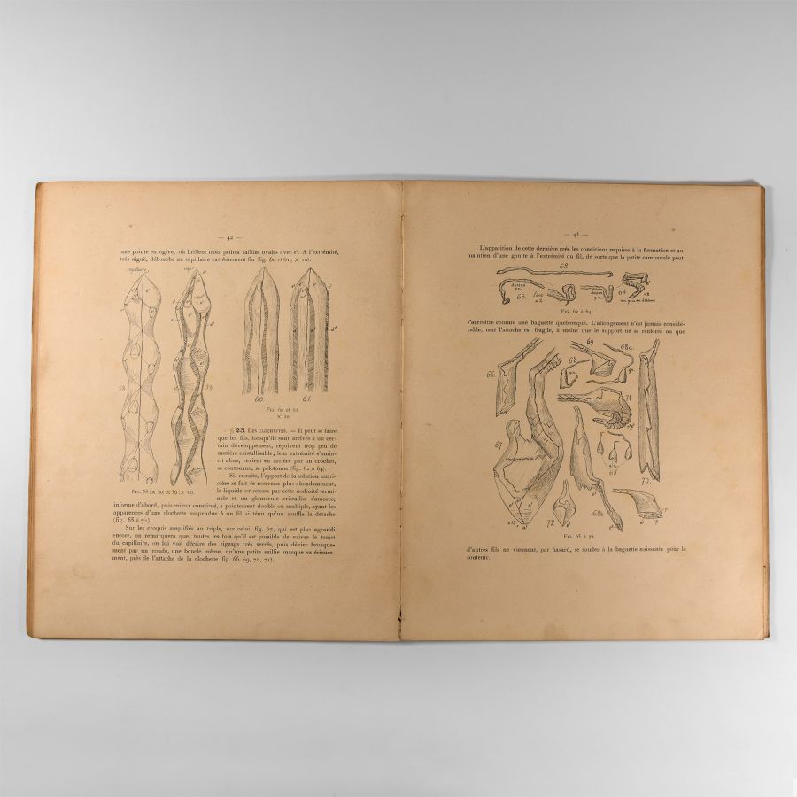 Natural History Books - Prinz - Les Cristallisations des Grottes de Belgique