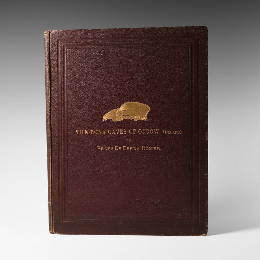 Natural History Books - Romer - The Bone Caves of Ojcow