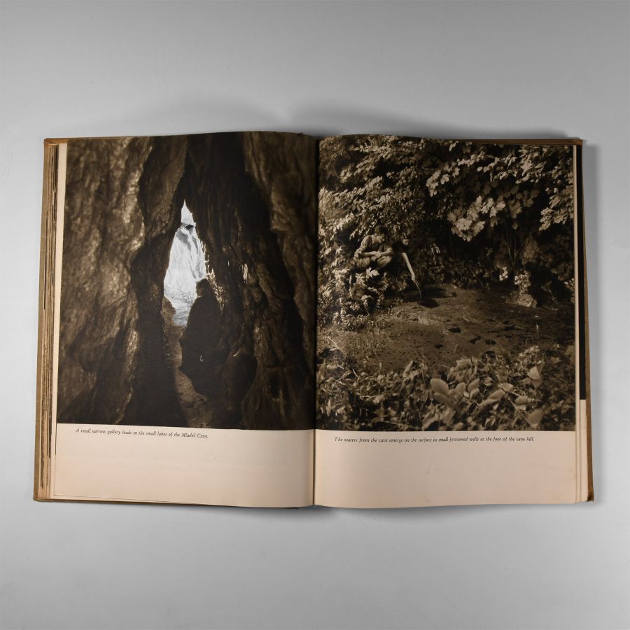 Natural History Books - Kunsky - Homes of Primeval Man