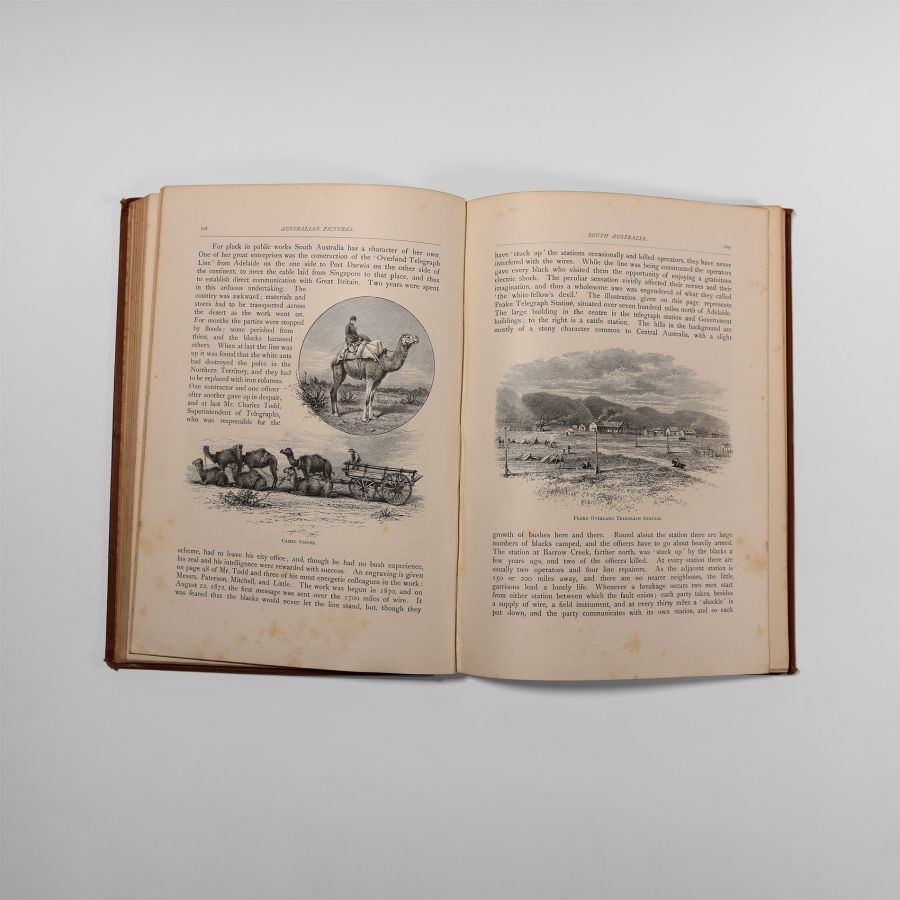Natural History Books - Willoughby - Australian Pictures