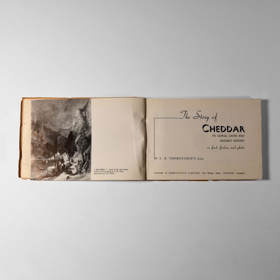 Natural History Books - Thornycroft - The Story of Cheddar