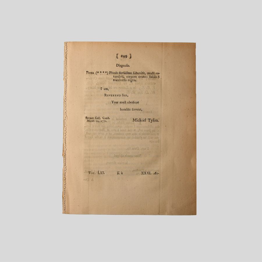 Natural History Books - Lloyd / King - Description of Elden Hole in Derbyshire