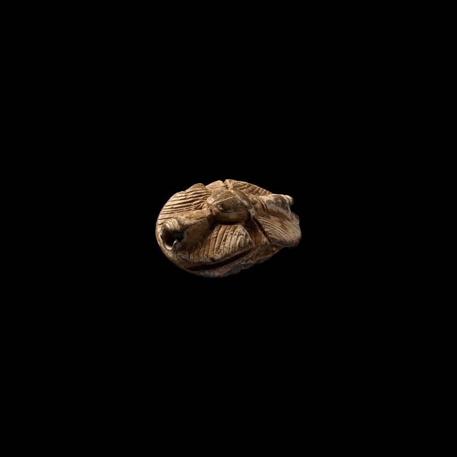Egyptian Ramesses III Period Scaraboid