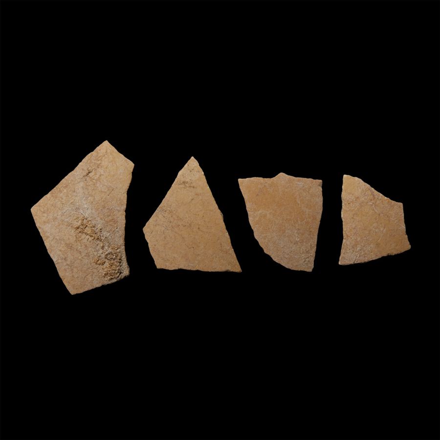 Natural History - Giant Elephant Bird Eggshell Group