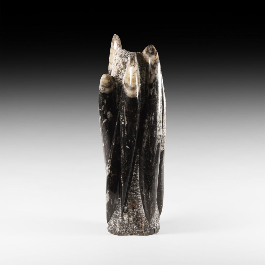Natural History - Polished Orthoceras Fossil Tower
