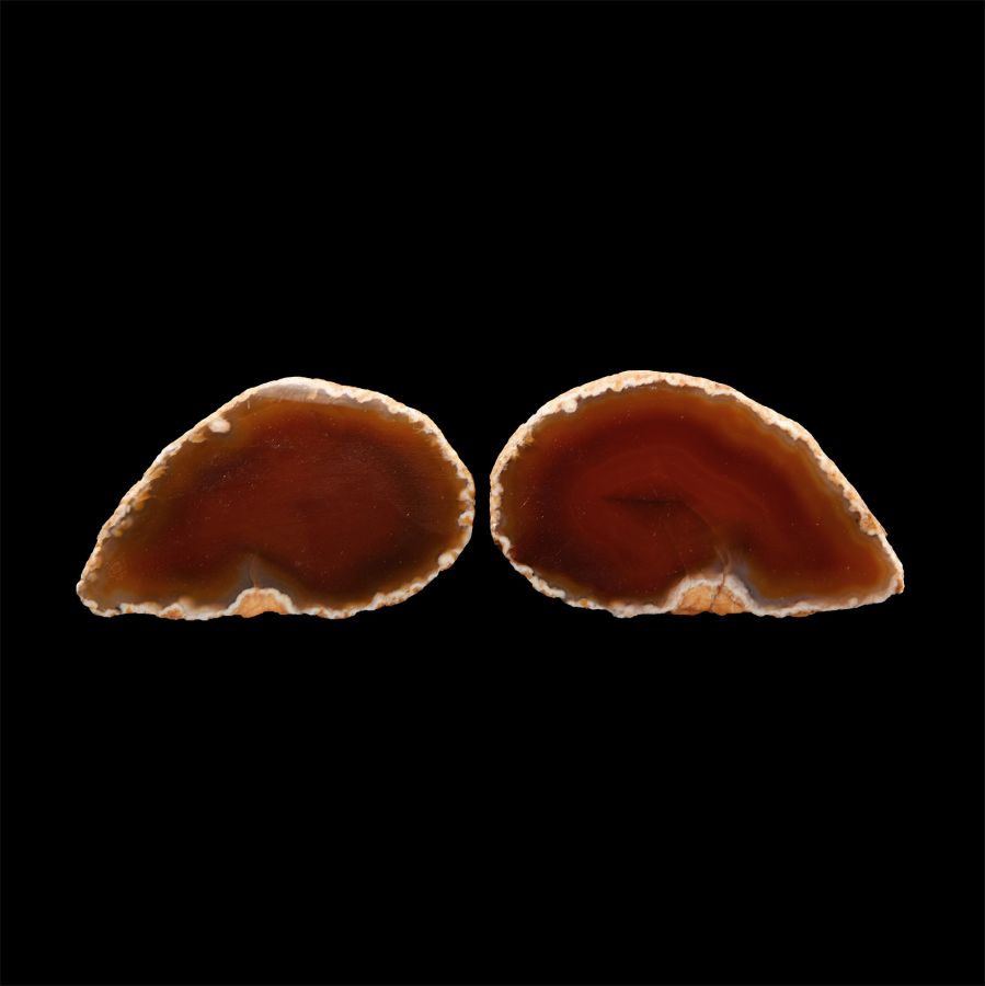 Natural History - Cut and Polished Agate Mineral Specimen Pair