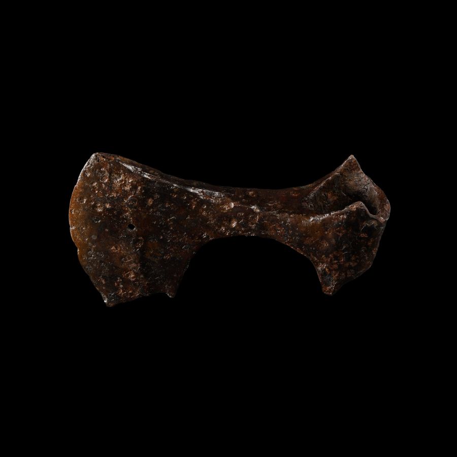 Viking Period Bearded Axehead