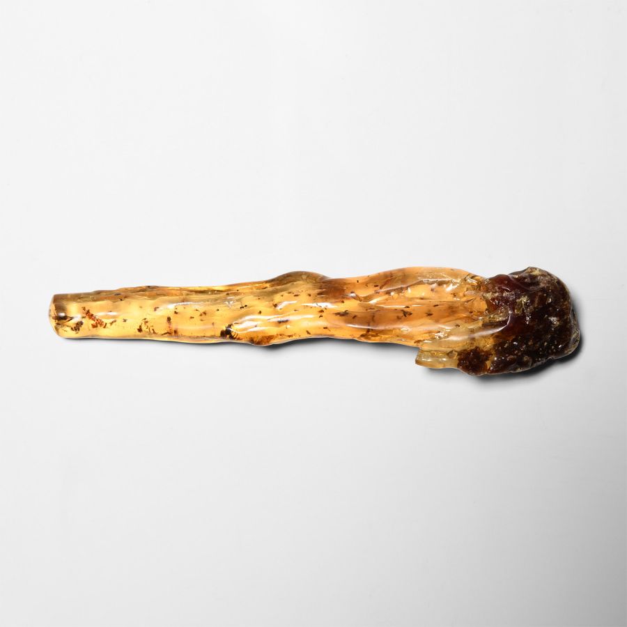 Natural History - Copal with Spider and Insects