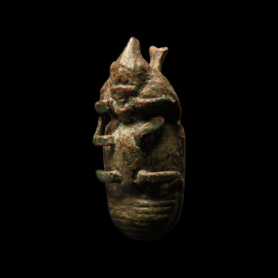 Egyptian Bronze Beetle