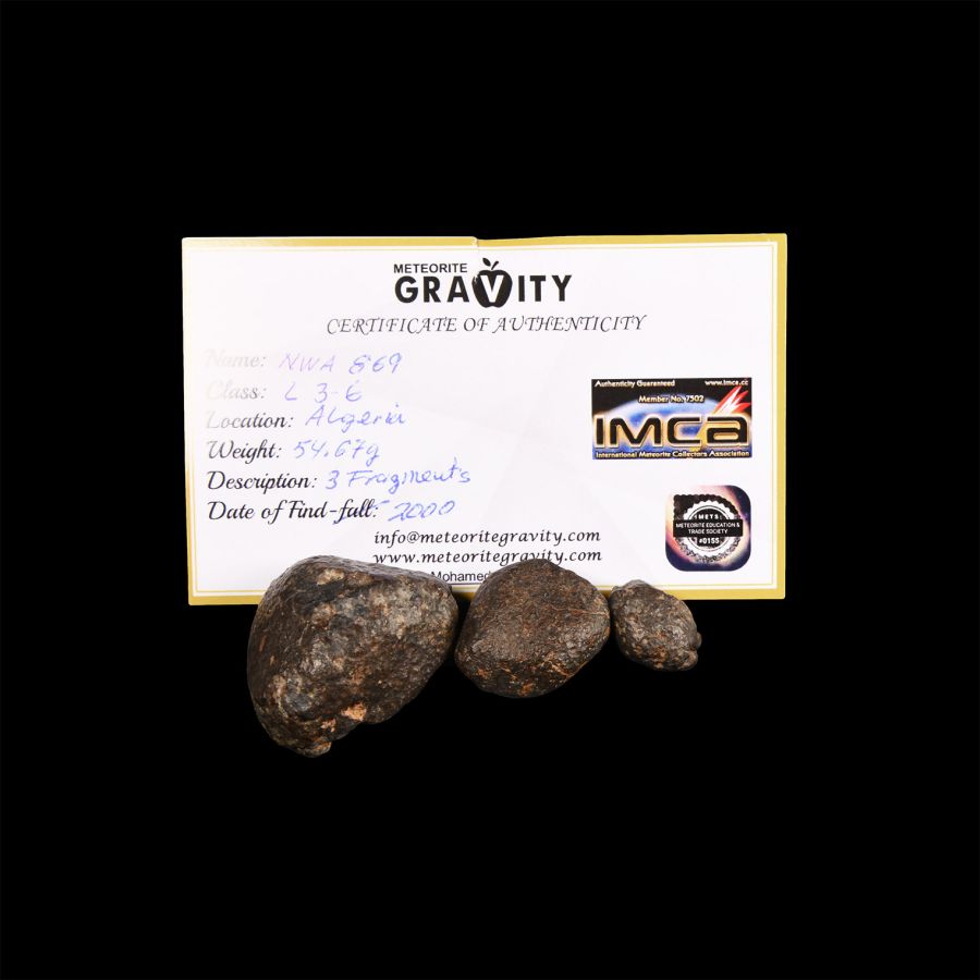 Natural History - Algerian NWA 869 Meteorite Collection